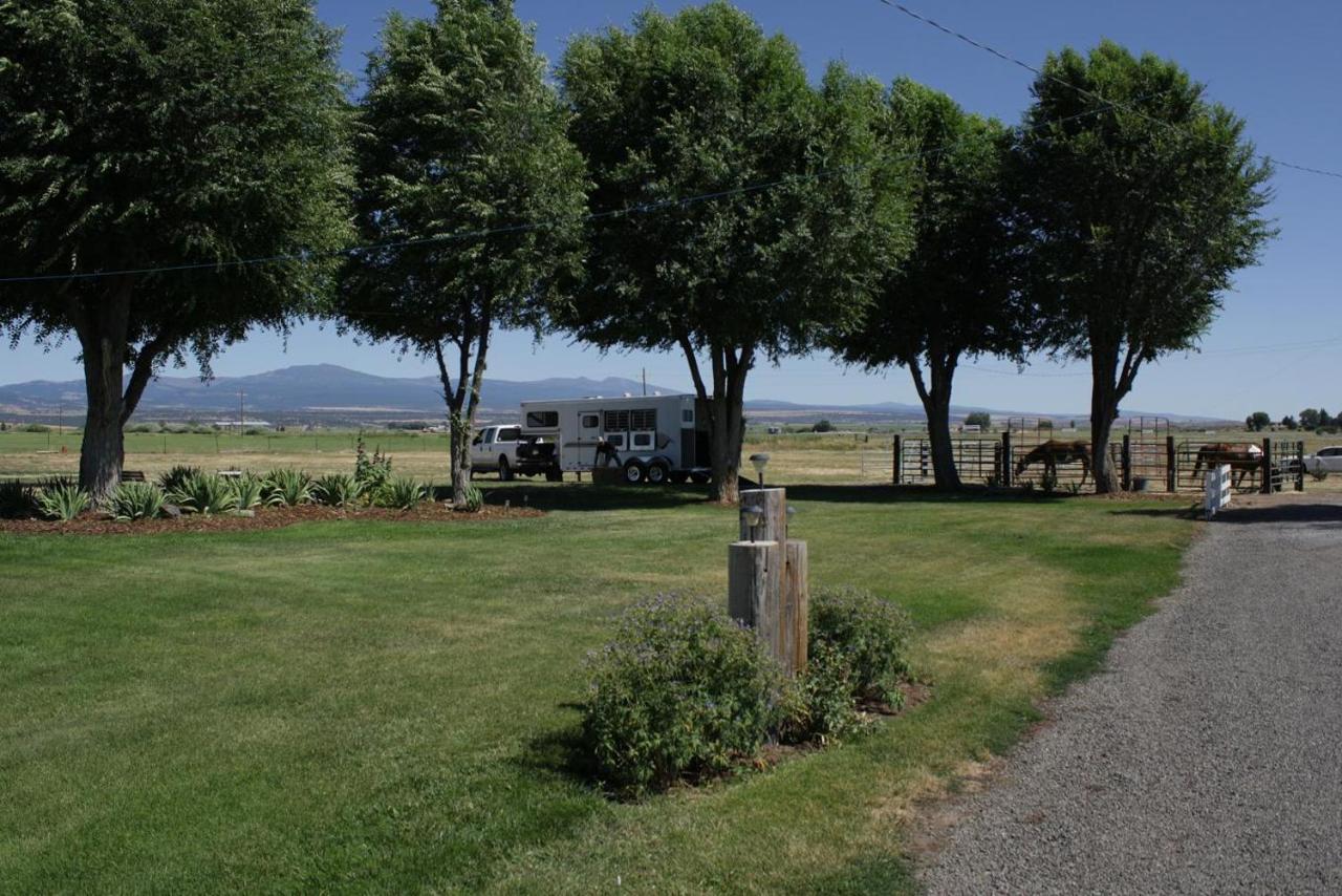 Rim Rock Motel Alturas Buitenkant foto